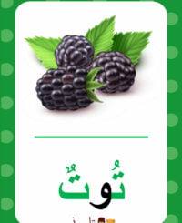 كلمات بحرف التاء