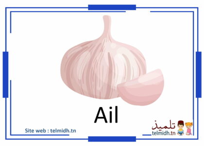 Les légumes Français