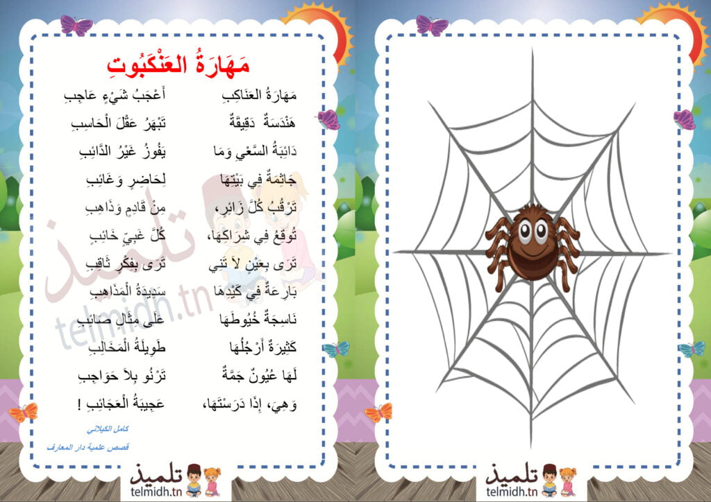 مهارة العنكبوت