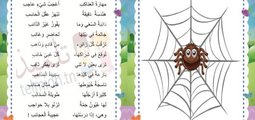 مهارة العنكبوت
