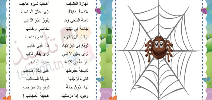 مهارة العنكبوت