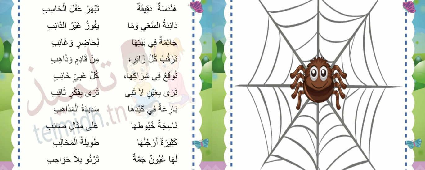 مهارة العنكبوت