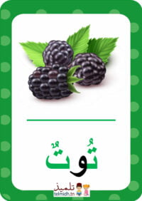 كلمات بحرف التاء