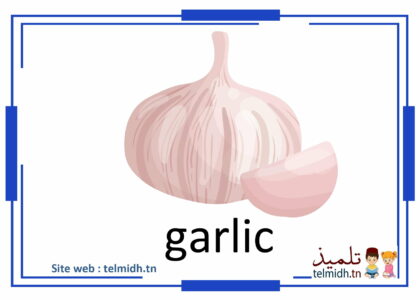 The Vegetables