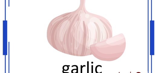 The Vegetables