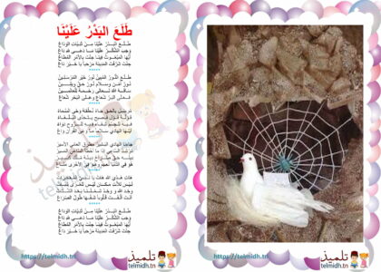 انشودة طلع البدر علينا