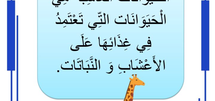 الحيوانات العاشبة