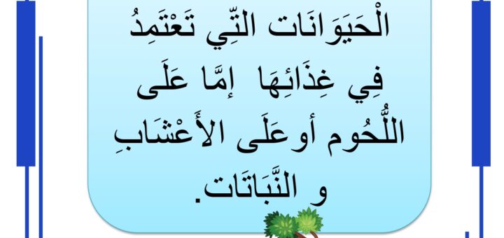 الحيوانات الكالشة