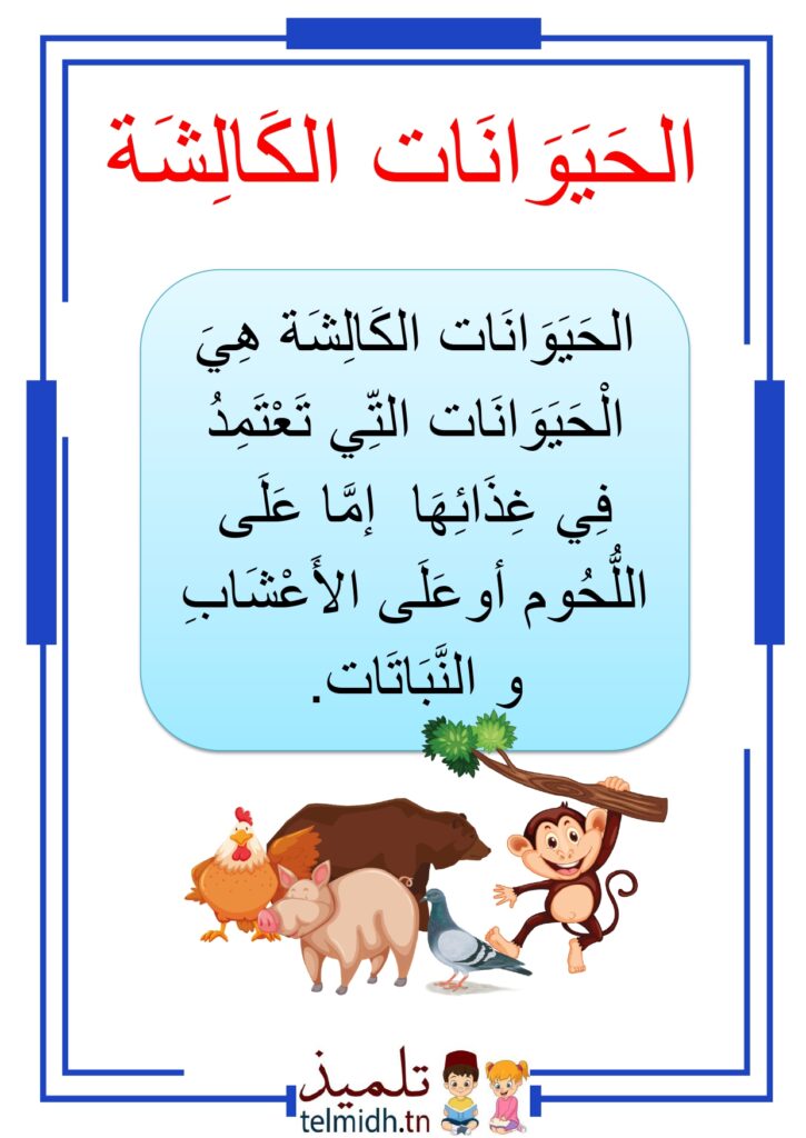 الحيوانات الكالشة