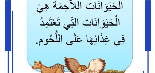 الحيوانات اللاحمة