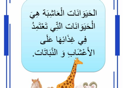 الحيوانات العاشبة