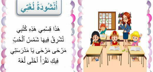 هذا قسمي هذة كتبي