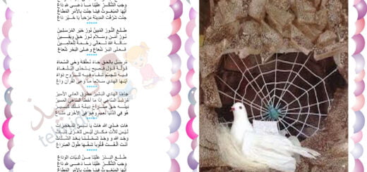 انشودة طلع البدر علينا