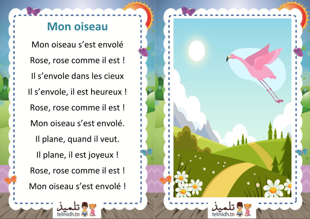 Mon oiseau