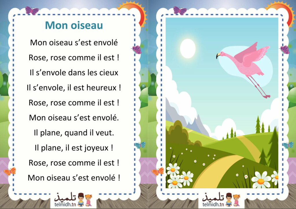 Mon oiseau