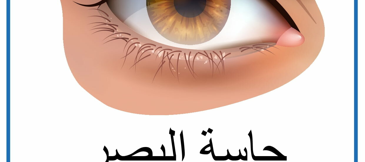 الحـواس الخمس العين