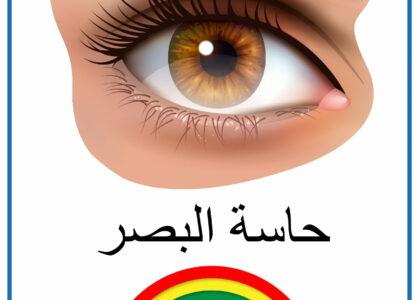 الحـواس الخمس العين