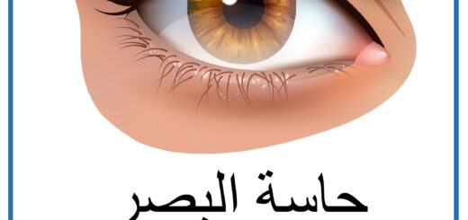 الحـواس الخمس العين