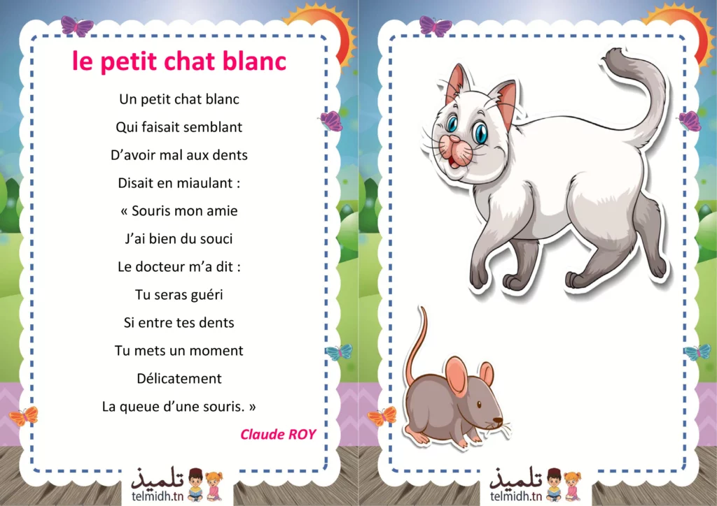Le petit chat blanc