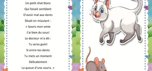 Le petit chat blanc