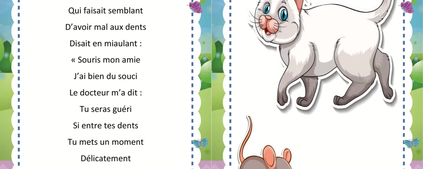Le petit chat blanc