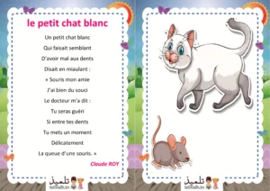 Le petit chat blanc