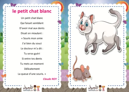 Le petit chat blanc