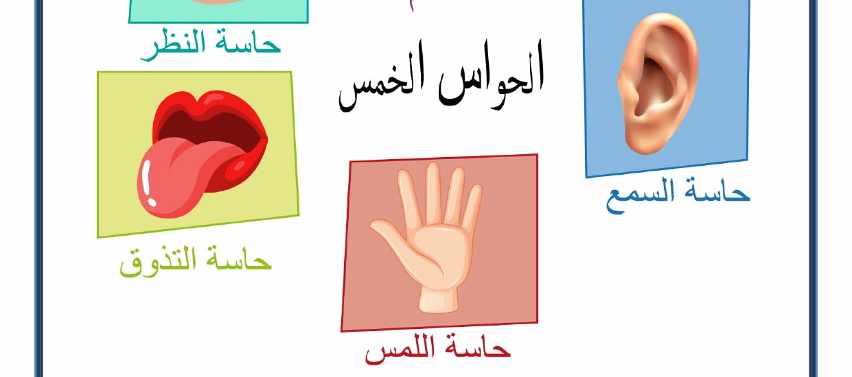 الحَوَاسُ الخَمْس