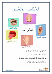 الحَوَاسُ الخَمْس