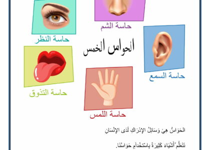 الحَوَاسُ الخَمْس