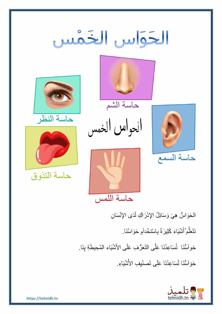 الحَوَاسُ الخَمْس