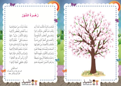 محفوظات زهرة اللوز