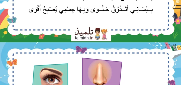 انشودة الحواس الخمس