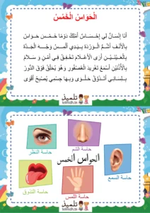 انشودة الحواس الخمس