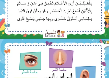 انشودة الحواس الخمس