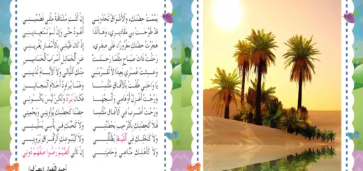 محفوظات حضن الواحة