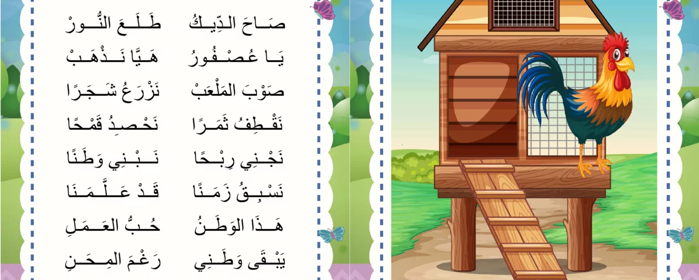 صاح الديك
