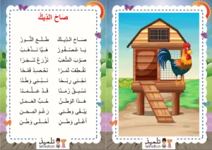صاح الديك