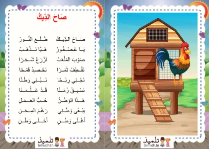 صاح الديك