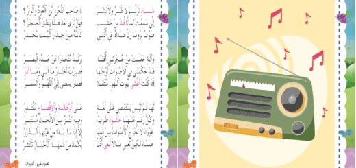 الراديو