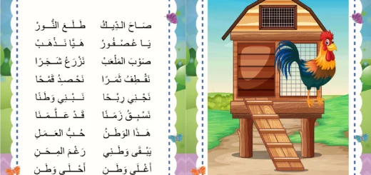 صاح الديك