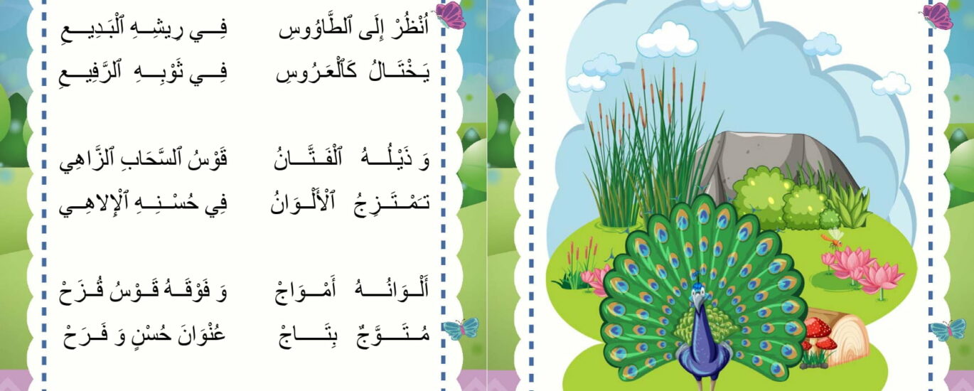 محجفوظات الطاووس السنة الاولى