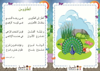 محجفوظات الطاووس السنة الاولى