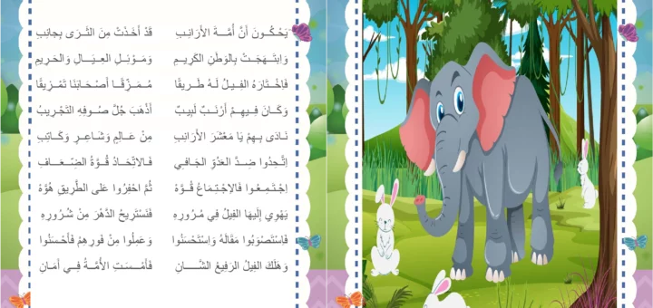 الأرانب و الفيل