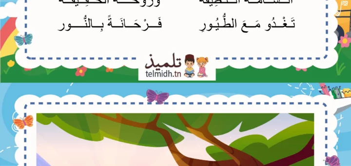 الطبيعة في بلادي - السنة الثانية