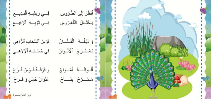 محجفوظات الطاووس السنة الاولى