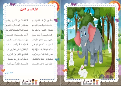 الأرانب و الفيل